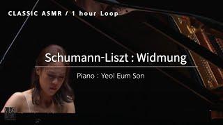 Schumann-Liszt:Widmung/Yeol Eum Son/손열음 슈만 헌정