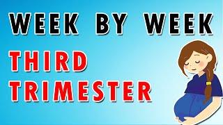 Week by Week: Third Trimester