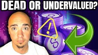 IS POLYGON MATIC DEAD OR UNDERVALUED RIGHT NOW?