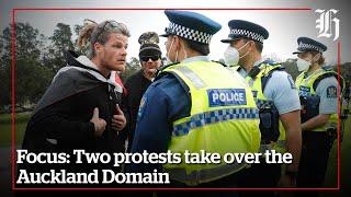 Focus: Two protests take over the Auckland Domain | nzherald.co.nz