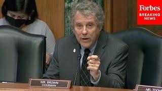 Sherrod Brown Leads Senate Banking Committee Hearing On Racism In Financial Sector