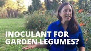 What is Inoculant? And Why To Use It For Garden Legumes?