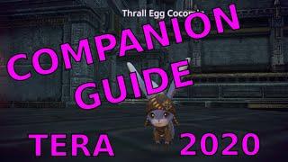 TERA: Pets & Companions (Guide for New and Returning Players Part 4)