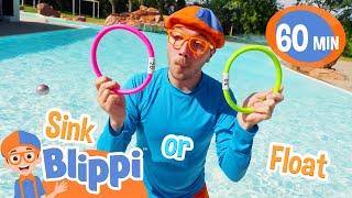 Blippi Plays Sink or Float in the POOL | Fun with Blippi! | Blippi Educational Songs for Kids