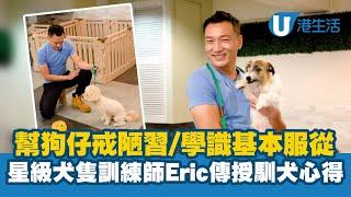 幫狗仔戒陋習/學識基本服從 星級犬隻訓練師Eric傳授馴犬心得