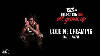 Kodak Black - Codeine Dreaming (feat. Lil Wayne) [Official Audio]