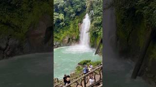 There is no better place than to sit around the waterfall and enjoy its calming vibes!