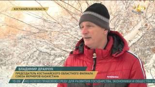 Костанайские фермеры купят 16,5 миллиона гектаров земли
