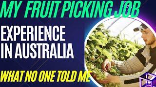 A Day in the Life of An Australian Fruit Picker: What No One Told Me