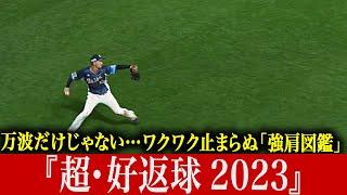 【万波だけじゃ】ワクワク止まらぬ“強肩図鑑” 『超・好返球 2023』【ないんです!!】