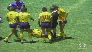 RESUMEN JORNADA 28 TEMPORADA 1988 1989