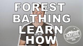 Introduction to Forest Bathing On-Line Course