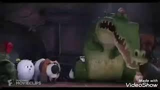 The Secret Life of Pets - You know Tiny Dog in Roy Raccoon Dancing 2 on Beat Roy Raccoon