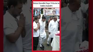 LoP & Congress leader Rahul Gandhi Pays Tribute to Indira Gandhi in Bhopal
