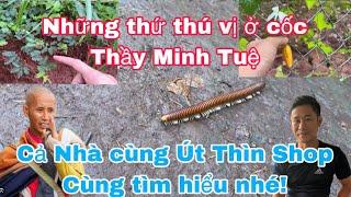 Những điều thú vị tại cốc Thầy Minh Tuệ.cả nhà cùng Út Thìn Shop tìm hiểu nhé!