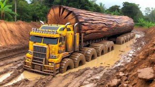 50 Unbelievable Heavy Equipment Machines Working At Another Level ▶2