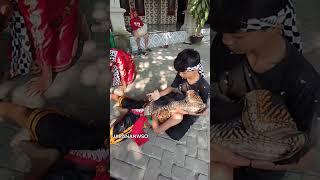 #shorts jj jaranan WSO - di subscribe nggeh bolo#jaranan #barongan #viral #viralvideo