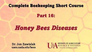 Part 16: Honey Bee Diseases