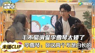【2025未播CLIP】毛不易调侃李雪琴太矮了！李雪琴：我不像你，这么大高个！ |《毛雪汪2025年春日》 #综艺 #毛雪汪 #李雪琴 #毛不易 #张彬彬 #毛晓彤