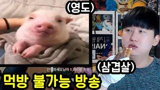 먹방이 불가능한 방송