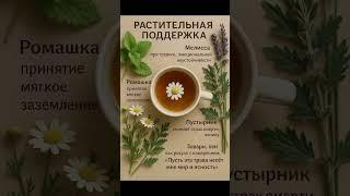 растения это магия #motivation #lifeisbutadream #nature #travel .# медитация#релакс #природа#