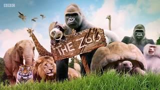 BBC The Zoo, Series 1 episode 15 The Mascot