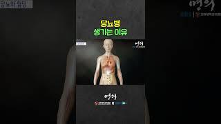 고혈당 상태가 지속된다면?