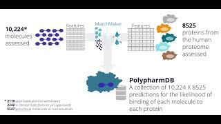 PolypharmDB: A resource for drug repurposing  - Dr. Dasha Redka