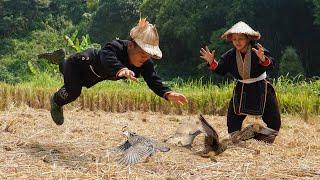 Dwarf family catches quail and roasts quail while harvesting ripe rice - harvesting joy