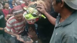 MACAN MACANAN JARANAN SIDODADI BALUK LIVE CONCRONG