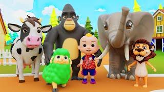 Animal Sounds Song   Animal Songs for Toddlers | Jicoco Nursery Rhymes & Kids Songs