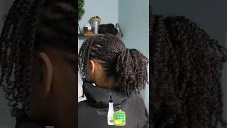 Mini twists on natural hair. My favorite protective style! #microtwists