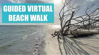 How much do you know about the beach? Let's go for a virtual beach walk and find out!