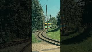 Die Waldbahn in Gotha [Linie 4] #Tram #Bahn #Straßenbahn #Gotha #schienen #Diewaldbahn