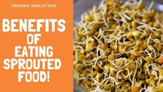 Why Eating Sprouts Is Healthy - Top Benefits