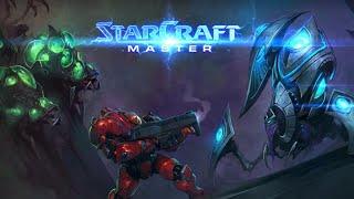 Are you the Starcraft Master?