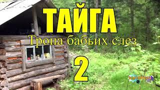 ОТШЕЛЬНИКИ | ЖИЗНЬ В ТАЙГЕ  2 из 16