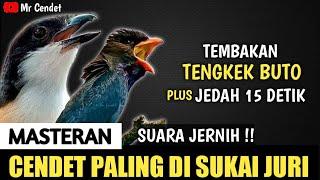 TEMBAKAN TENGKEK BUTO PLUS JEDAH 15 DETIK || MASTERAN CENDET PALING DI SUKAI JURI !!