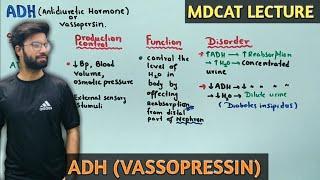 Antidiuretic hormone | NMDCAT 2021 | ADH (VASSOPRESSIN)