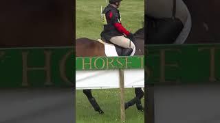 2018 A Golden Year for Harveywetdog; Belsay Horse Trials #shorts