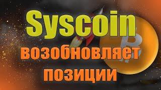 Syscoin может набрать былые обороты. Новости криптовалют.