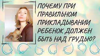 Правильное прикладывание: Почему ребёнок над грудью, а не под ней?