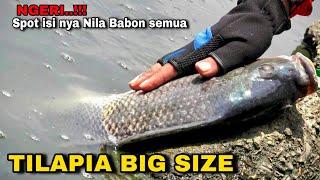 Ngeri..!! Mancing di sungai pedalaman China isinya ikan Nila Super Babon Semua