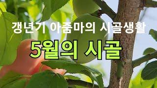 5월의 시골, 갱년기 아줌마의 시골생활