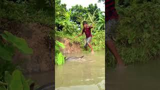 Ato boro MAs amazing video #fishing #fish #fishinglife #fishingtips #fishingvideo #shorts