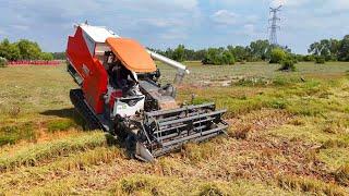 Wonderful Team Harvester Machine Techniques Harvesting Skills At Farms Rice. Tractor Kh