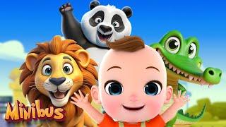 Baby's First Time at the Zoo | Zoo Animals Song + More Nursery Rhymes & Kids Songs | Minibus