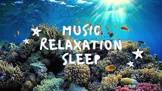 Musik Relaksasi Untuk Tidur | Aquarium 4K VIDEO Relaxing Music for Sleep | Rare & Colorful Sea Life