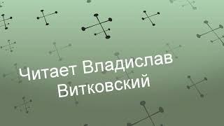 А ты когда то слушал тишину. Автор Эдуард Жолудев. Читает Владислав Витковский.