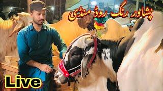 Live Peshawar Ring Road Mandi Live Rates Updates maweshi mandi 2024 Bakra Eid